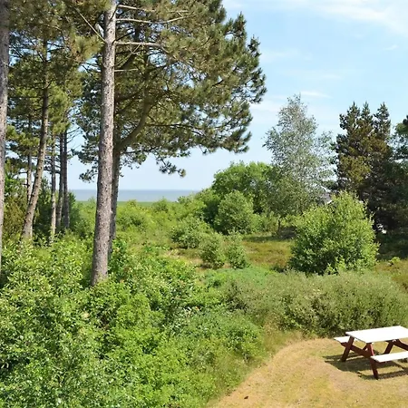 Volmer - 3-9km From The Sea By Interhome Rømø Kirkeby